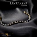 import placeholder for 10388